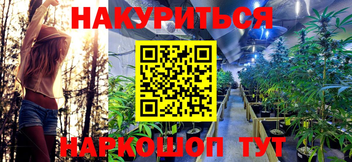 Бошки Шишки планчик Коркино